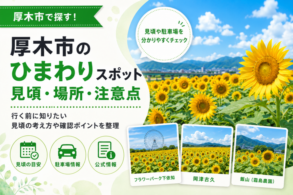 【厚木市】ひまわり3スポット｜見頃の時期と駐車場の有無を紹介