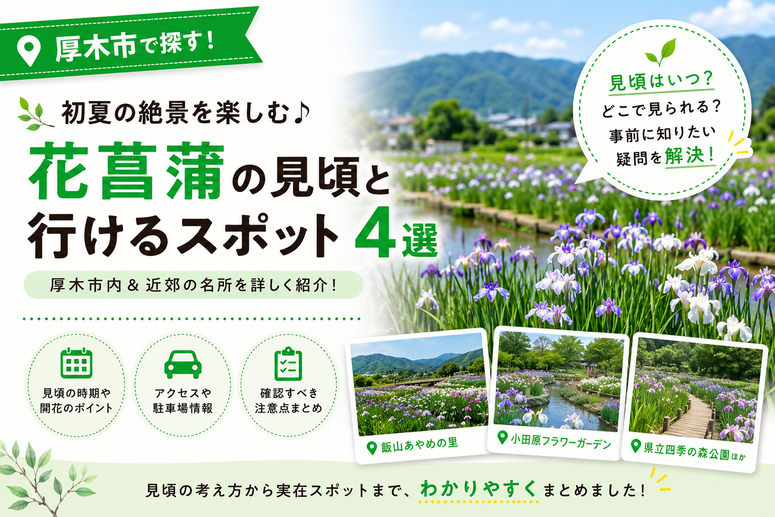 【厚木市】花菖蒲スポット4選｜飯山あやめの里と近郊3施設